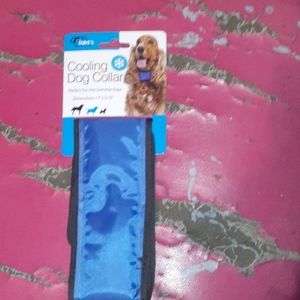 Cooling dog Collar